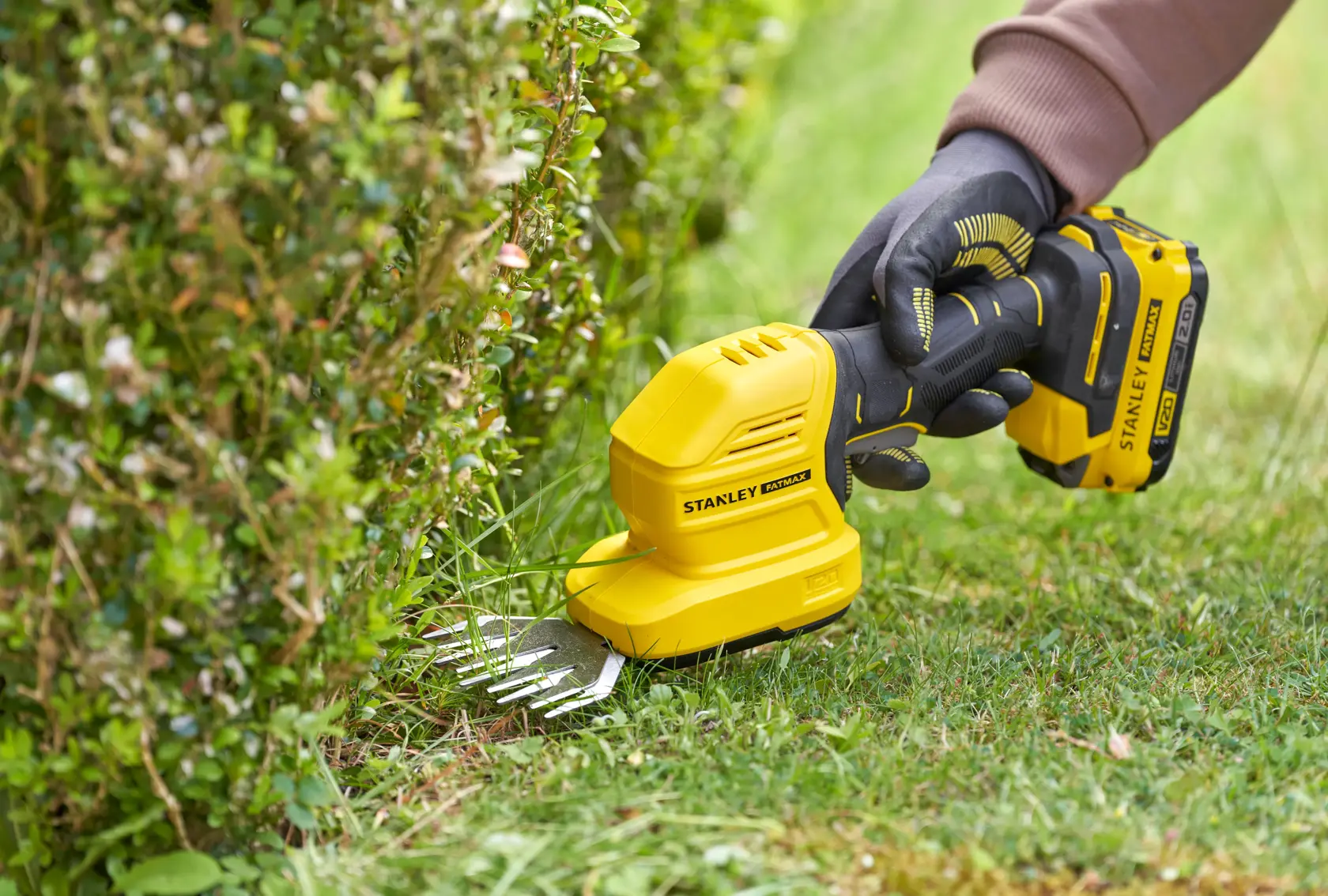 Photo of STANLEY STCSS20D1 cordless grass shear and shrub trimmer in use, trimming lawn edge near hedge.